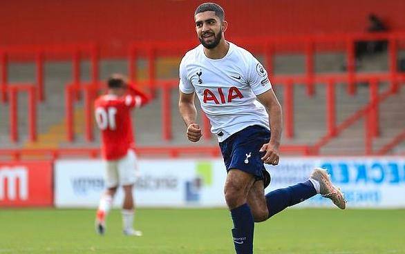 本文将揭示 本文将揭示